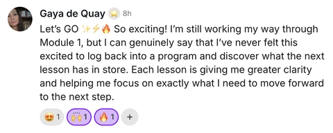 Gaya de Quay: I can genuinely say that I've never felt this excited to log back into a program.